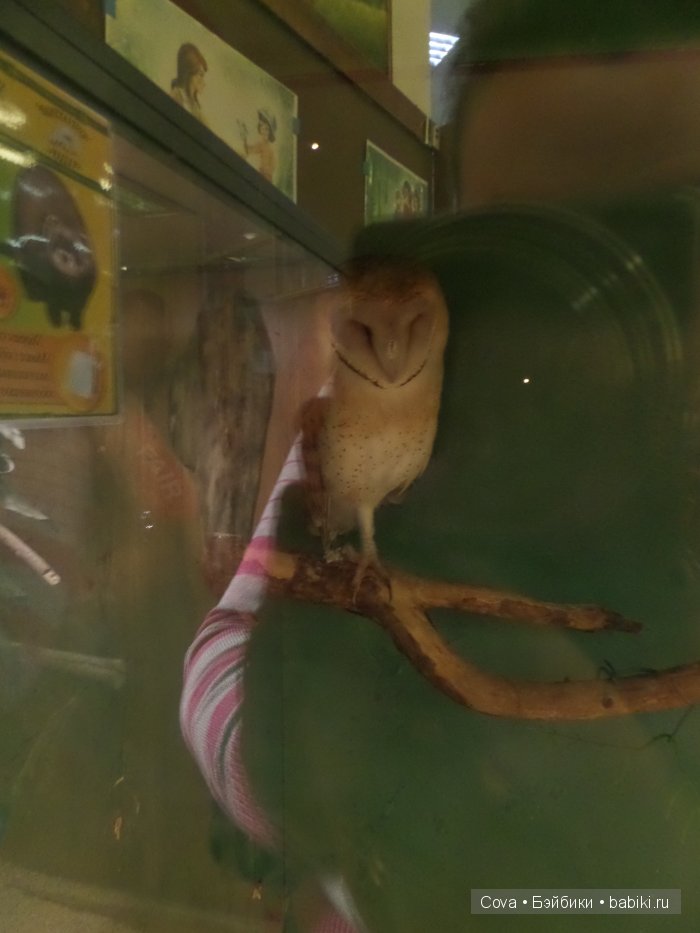 Мы ходили в зоопарк | Бэйбики Мы ходили в зоопарк — Болталка и разговоры обо всем: жизнь