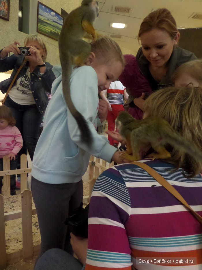 Мы ходили в зоопарк | Бэйбики Мы ходили в зоопарк — Болталка и разговоры обо всем: жизнь