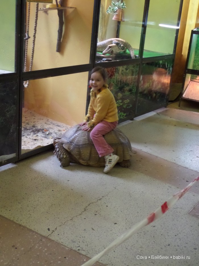 Мы ходили в зоопарк | Бэйбики Мы ходили в зоопарк — Болталка и разговоры обо всем: жизнь