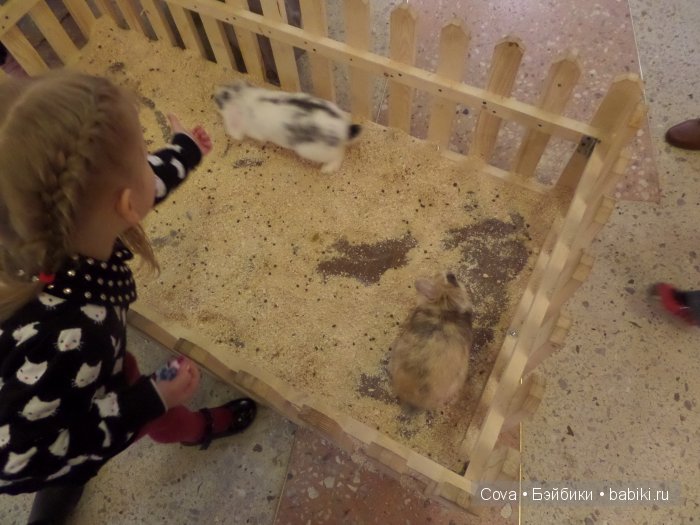 Мы ходили в зоопарк | Бэйбики Мы ходили в зоопарк — Болталка и разговоры обо всем: жизнь