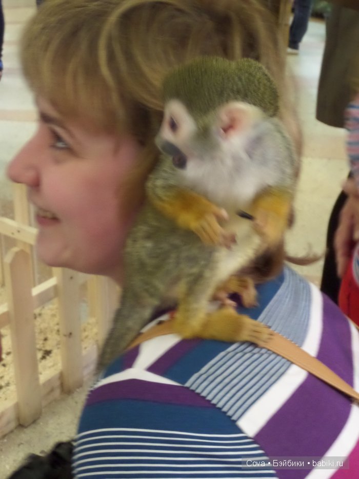 Мы ходили в зоопарк | Бэйбики Мы ходили в зоопарк — Болталка и разговоры обо всем: жизнь