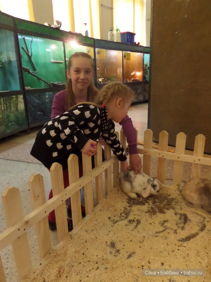 Мы ходили в зоопарк | Бэйбики Мы ходили в зоопарк — Болталка и разговоры обо всем: жизнь