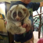 Мы ходили в зоопарк.