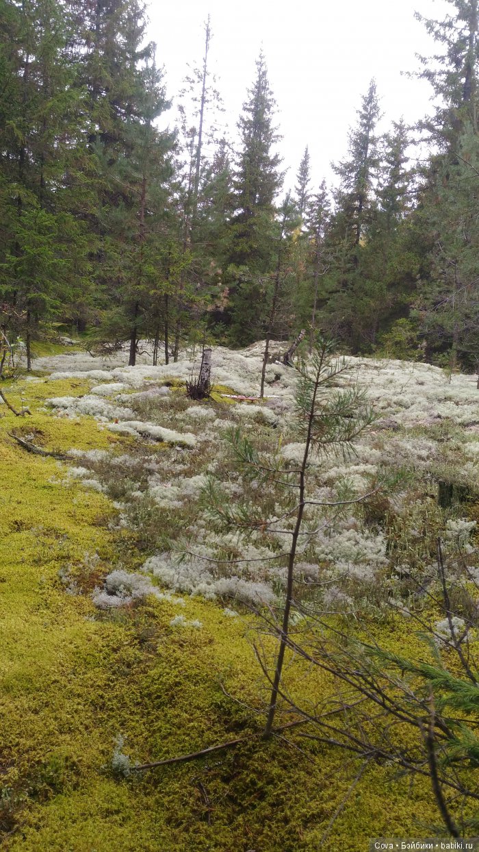 Осенний и зимний образ шарнирной куклы Машули (фото 3)