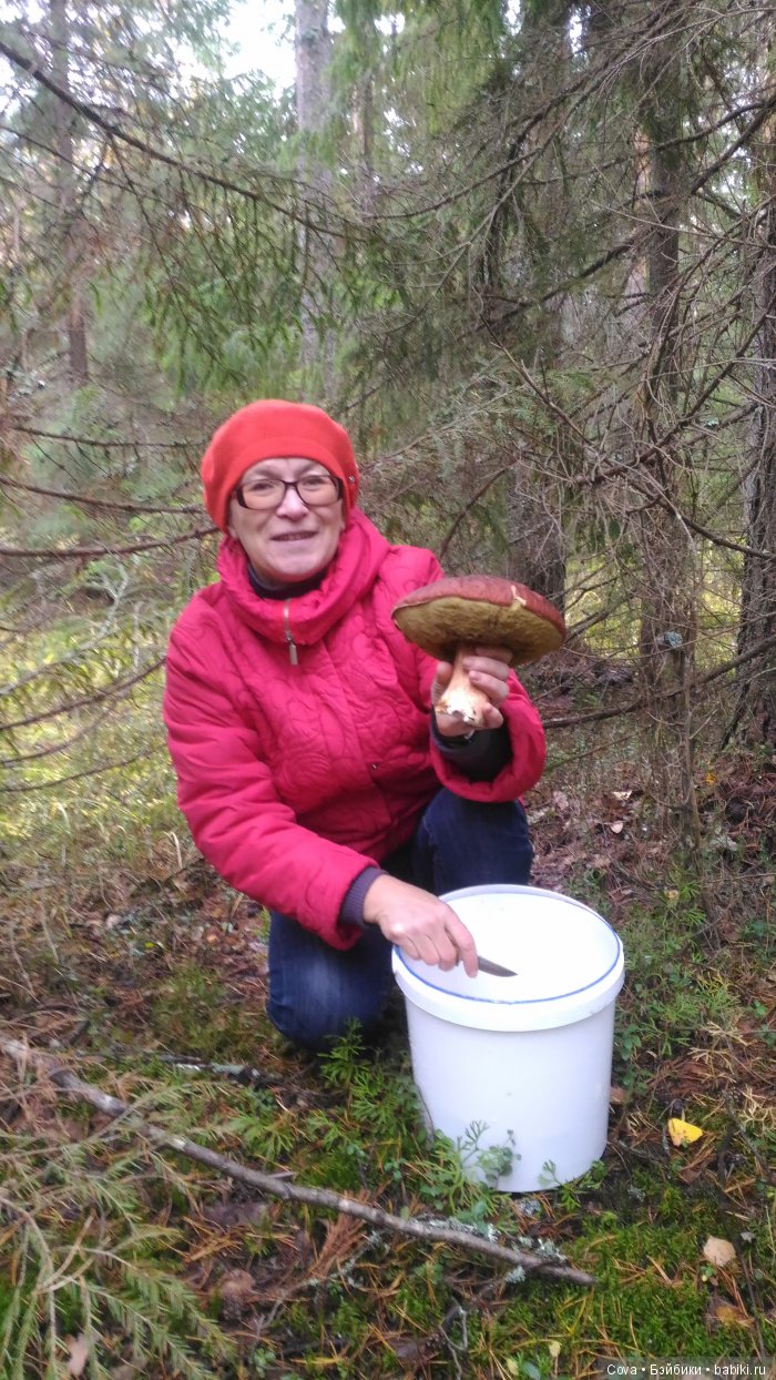 Осенний и зимний образ шарнирной куклы Машули