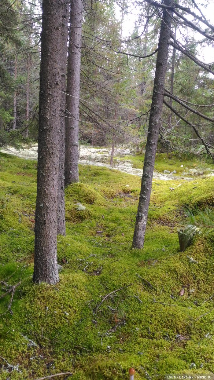 Осенний и зимний образ шарнирной куклы Машули (фото 2)