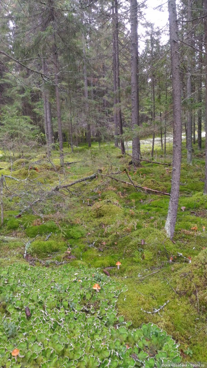 Осенний и зимний образ шарнирной куклы Машули