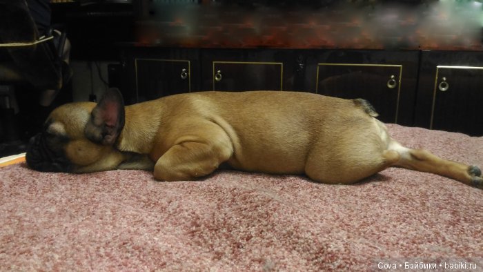 В эмоциях о прошедшей выставке в Москве. Искусство куклы 2016