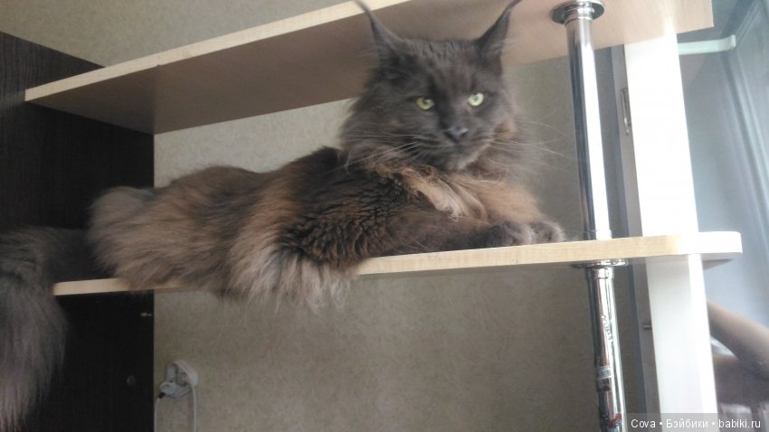 Грустный топик,еще один способ обмана((