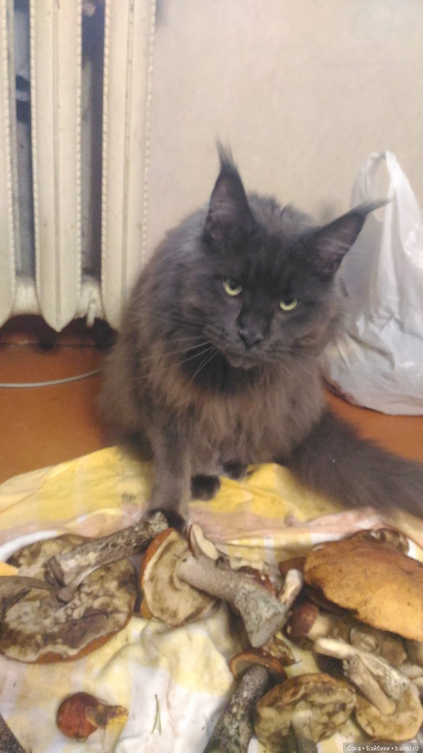 Грустный топик,еще один способ обмана(( (фото 3)