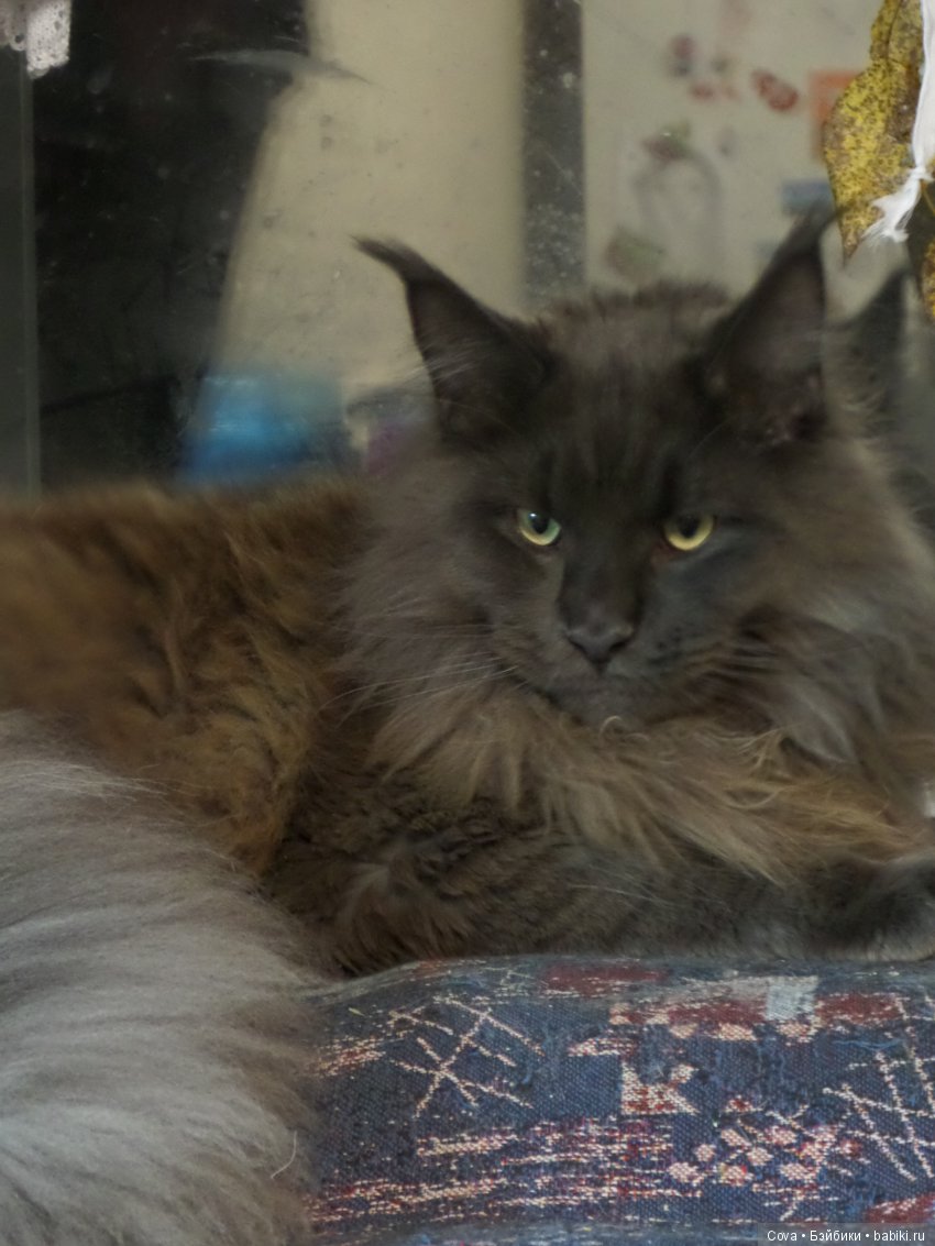 Грустный топик,еще один способ обмана(( (фото 2)