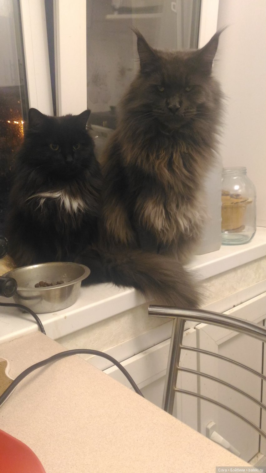 Грустный топик,еще один способ обмана(( (фото 5)