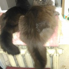 Грустный топик,еще один способ обмана((