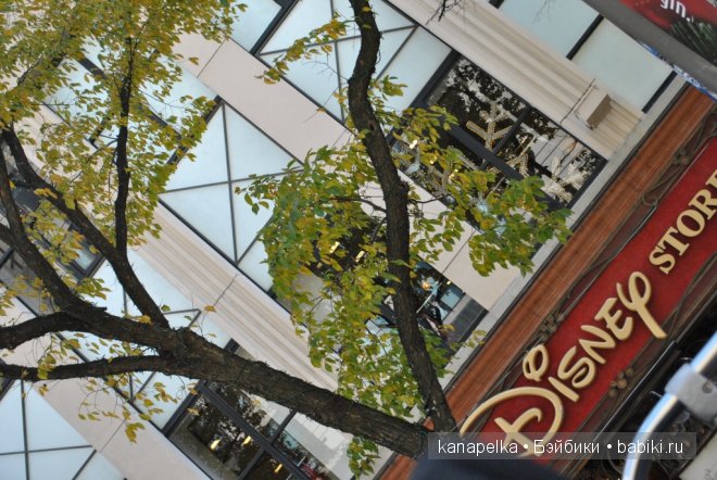 Куклы Америки — Туризм и путешествия: фотоотчеты из поездок