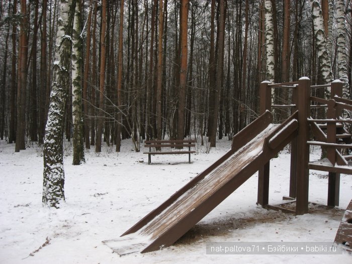 Встретились осень с зимою в конце ноября (фото 8)