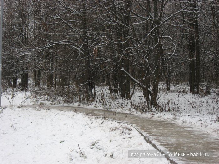 Встретились осень с зимою в конце ноября (фото 3)