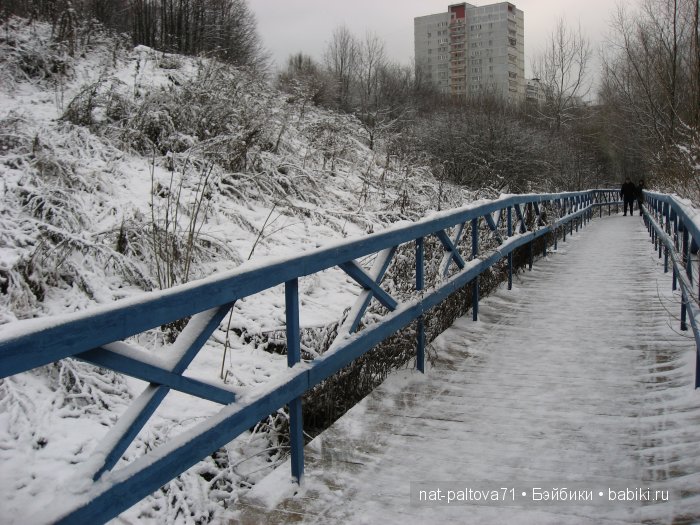 Встретились осень с зимою в конце ноября (фото 5)