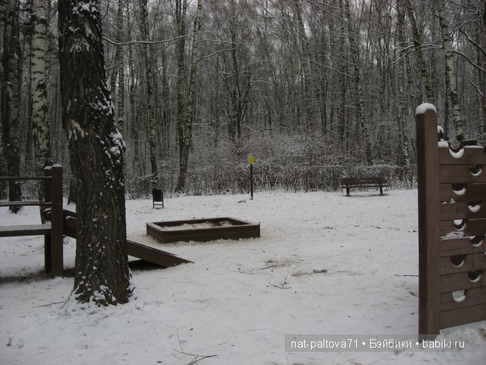 Встретились осень с зимою в конце ноября (фото 9)