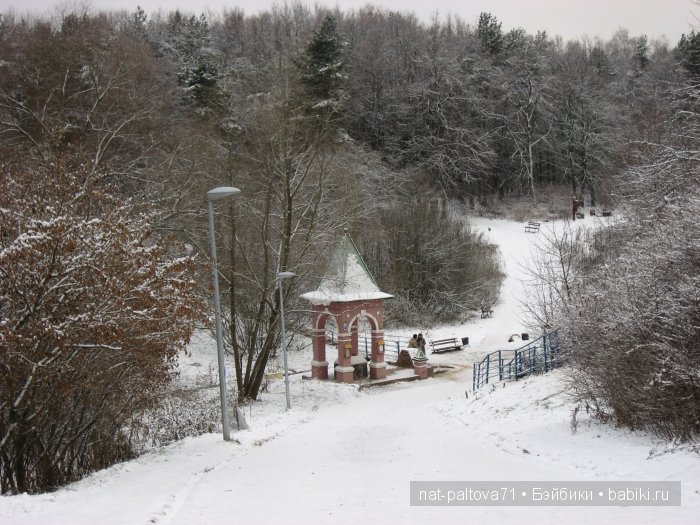 Встретились осень с зимою в конце ноября (фото 2)