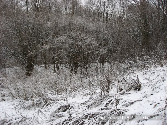 Встретились осень с зимою в конце ноября