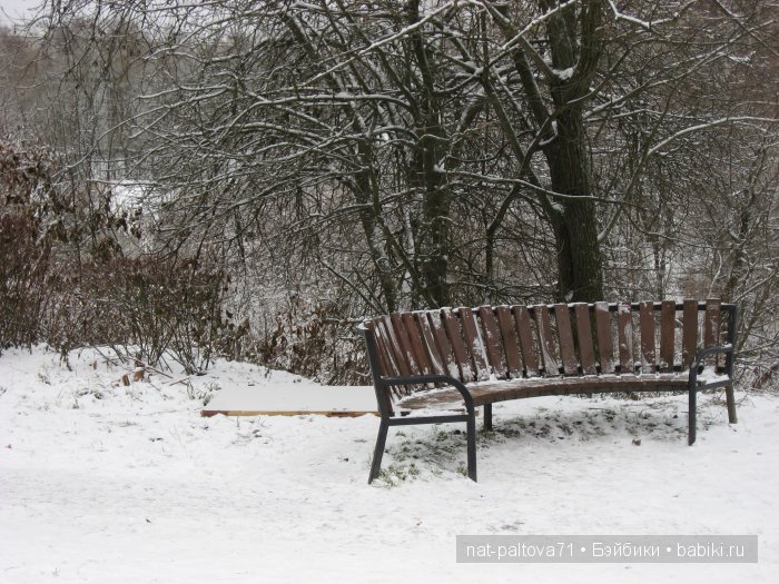 Встретились осень с зимою в конце ноября (фото 4)