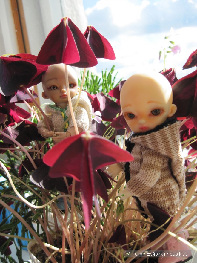 К Анечке приехал друг Маратка (hujoo Is и Ted) (фото 7)