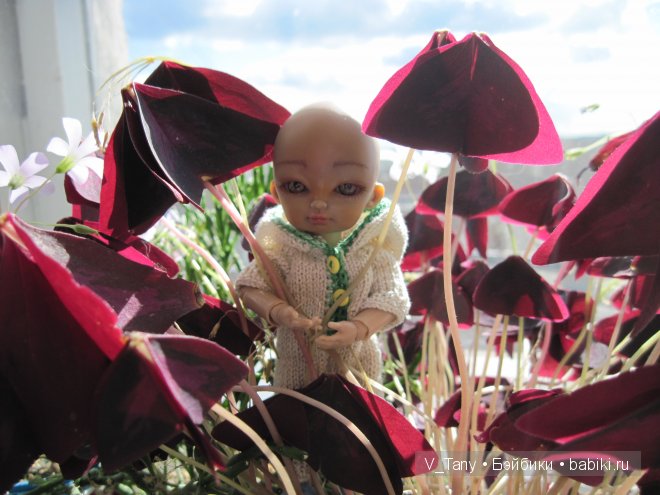 К Анечке приехал друг Маратка (hujoo Is и Ted) (фото 6)