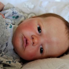 Мой малыш Аттикус