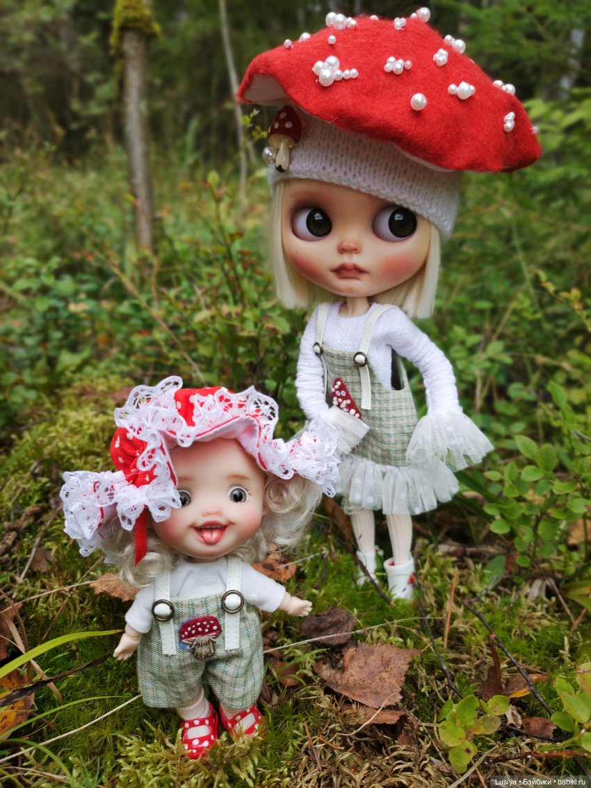Из жизни мухоморов 🍄🍄 (осторожно: много фото 😊) (фото 4)