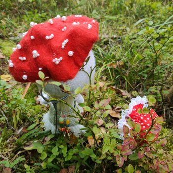 Из жизни мухоморов 🍄🍄 (осторожно: много фото 😊)