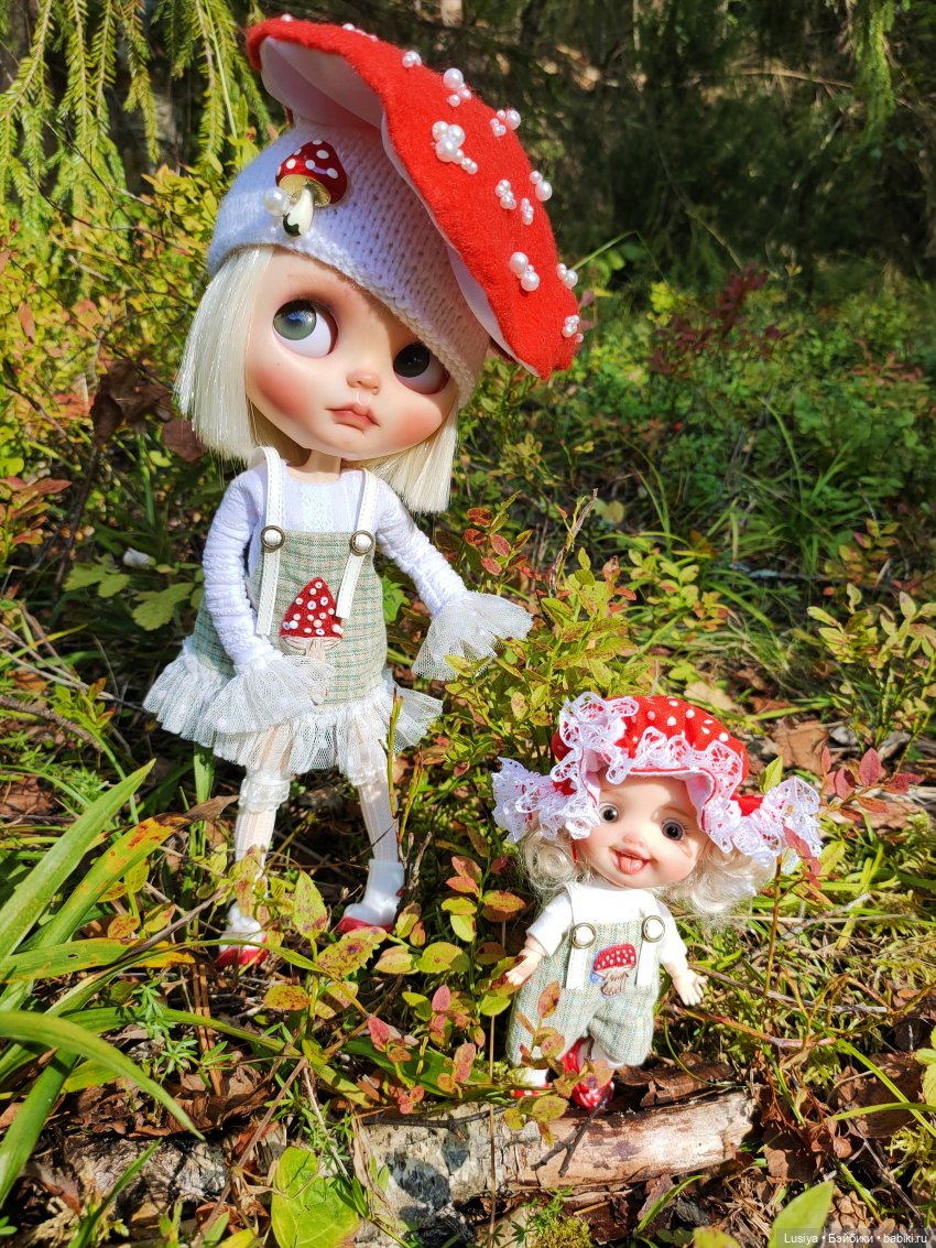Из жизни мухоморов 🍄🍄 (осторожно: много фото 😊)