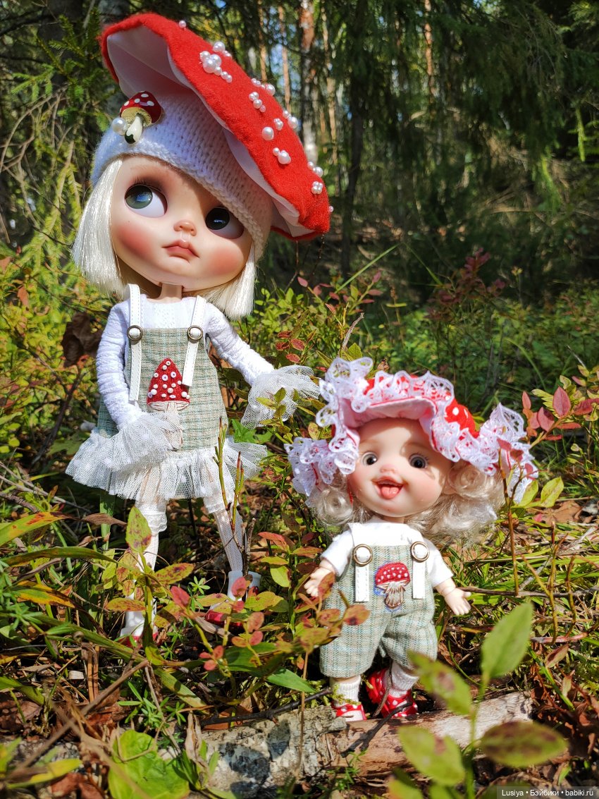 Из жизни мухоморов 🍄🍄 (осторожно: много фото 😊)