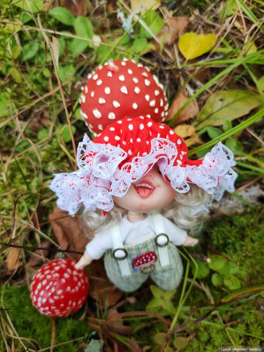 Из жизни мухоморов 🍄🍄 (осторожно: много фото 😊)