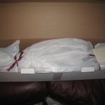 Смотрите, кто к нам приехал! Zawieruszinski, Apolonia