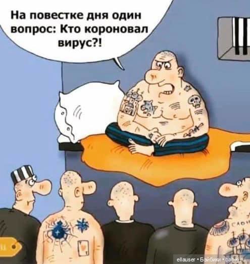 Срочно в номер! Новости эпидемии со всего света! Коронaвирус - Смех сквозь слезы (фото 10)