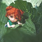 Масяня и лето (пукифи Анте)