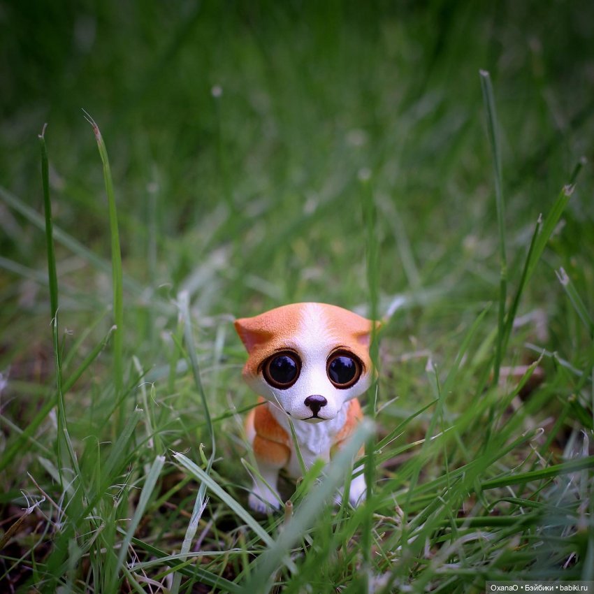 Глаша и новый друг — Куклы Meadow dolls (Медовушки): BJD (БЖД) (фото 2)