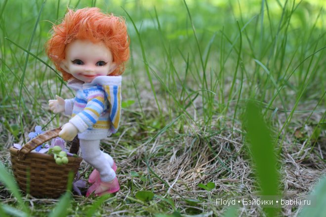 Лимхва Сара и Реалпуки Сосо, BJD