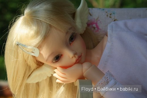 Мои девочки — Коллекции кукол BJD (БЖД): фото витрин (фото 5)