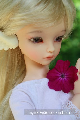 Мои девочки — Коллекции кукол BJD (БЖД): фото витрин (фото 4)