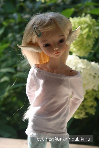 Мои девочки — Коллекции кукол BJD (БЖД): фото витрин (фото 7)