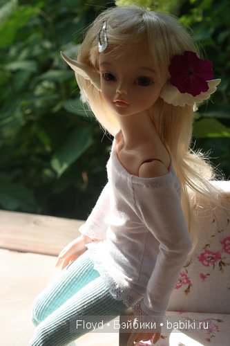 Мои девочки — Коллекции кукол BJD (БЖД): фото витрин (фото 6)