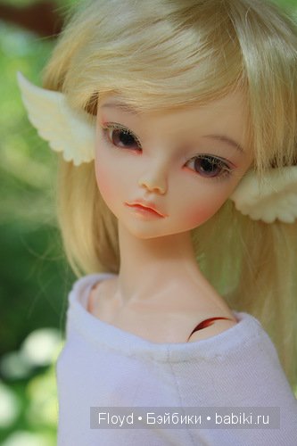 Мои девочки — Коллекции кукол BJD (БЖД): фото витрин (фото 3)