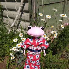 Кое-что из жизни лягушек