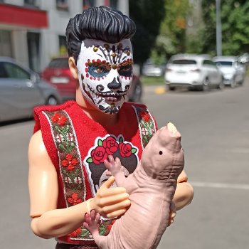 Нашли друг друг друга