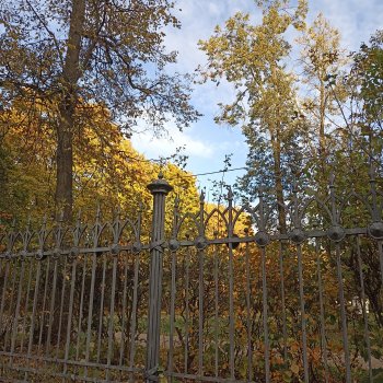 Пёстрая компания