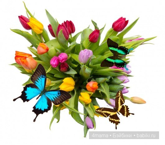 Моя Булочка дома | Бэйбики Моя Булочка дома — Куклы Реборн (Reborn): домашние фото