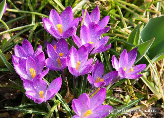 Наша Юляша, куколка-реборн