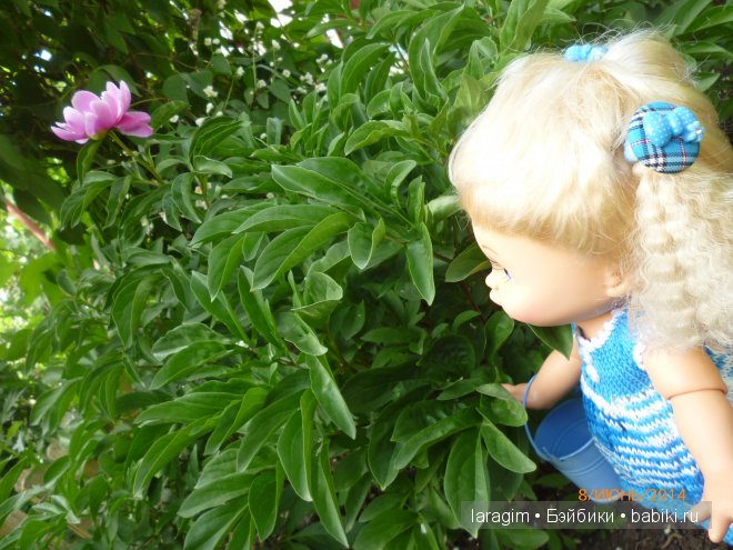 "В моём саду, Ланфрен-ланфра" - или одежда для Baby Face своими руками (фото 3)