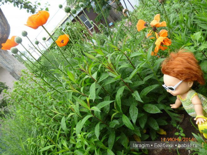 "В моём саду, Ланфрен-ланфра" - или одежда для Baby Face своими руками (фото 5)